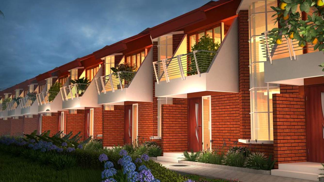  feronia Images for Elevation of Unique Feronia