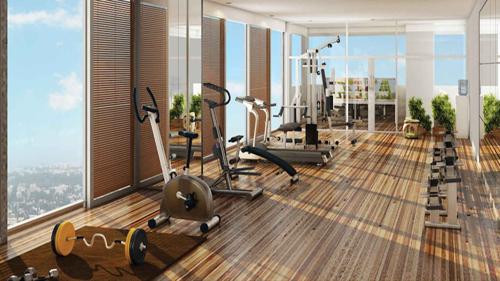  shekha-marquis Gymnasium