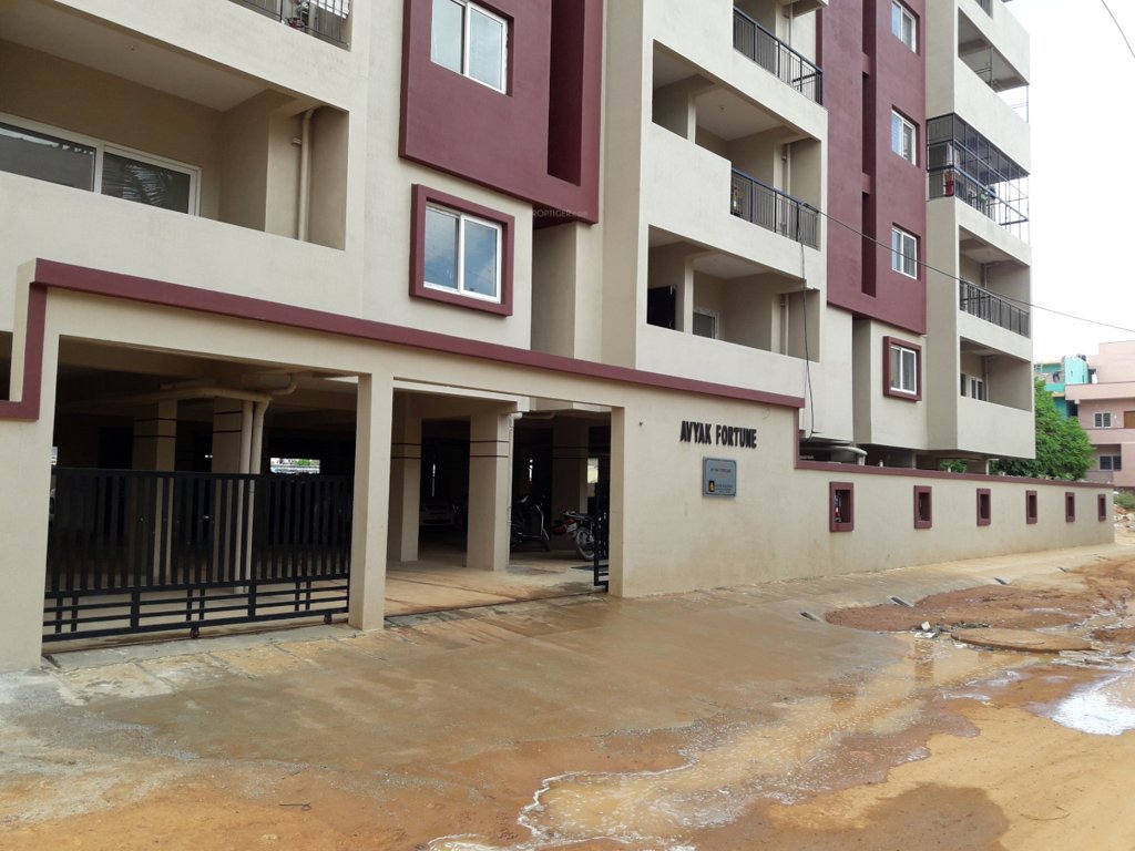  fortune Images for Project