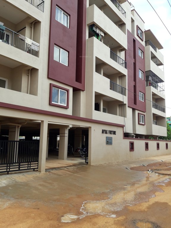  fortune Images for Project