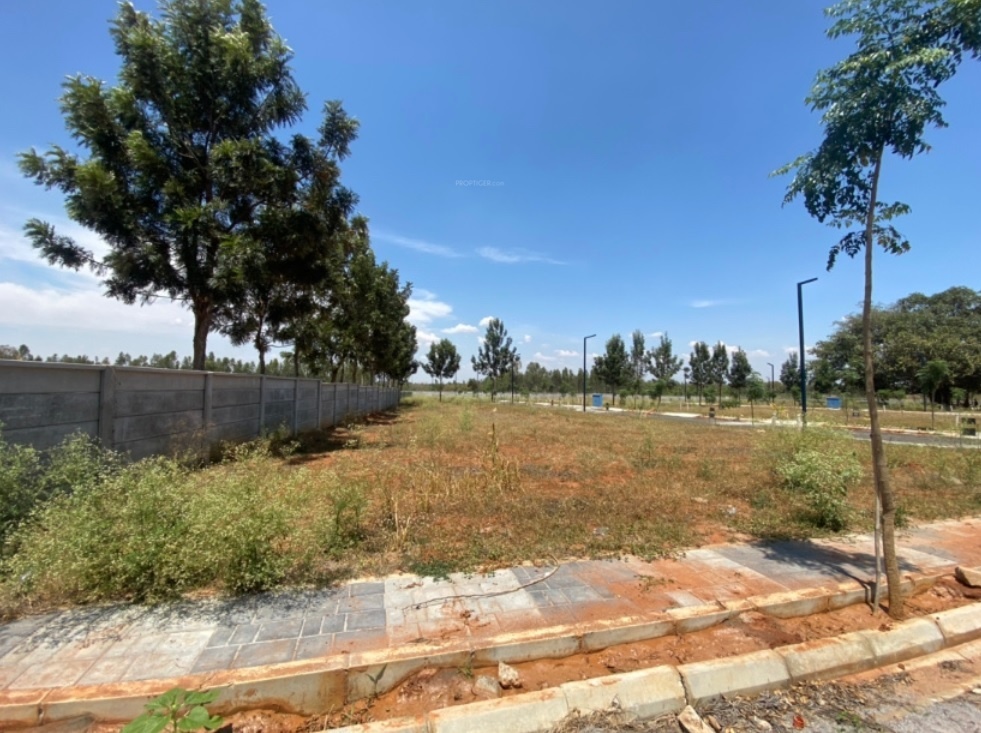 Morefields By Manyata