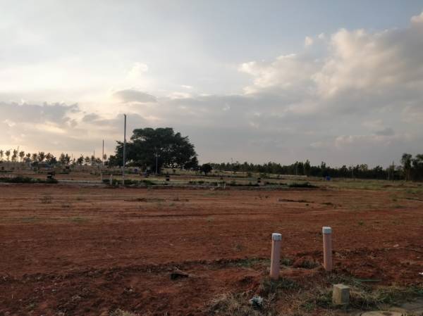 mainOther of Morefields By Manyata