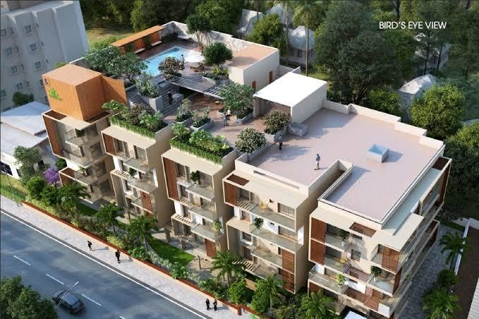  casa flora Elevation