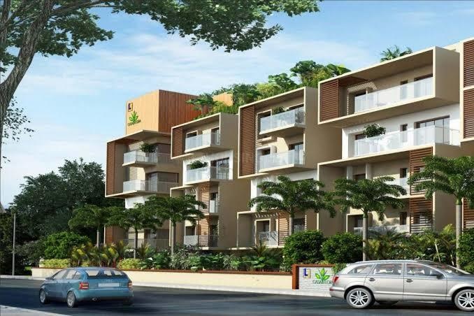  casa flora Elevation