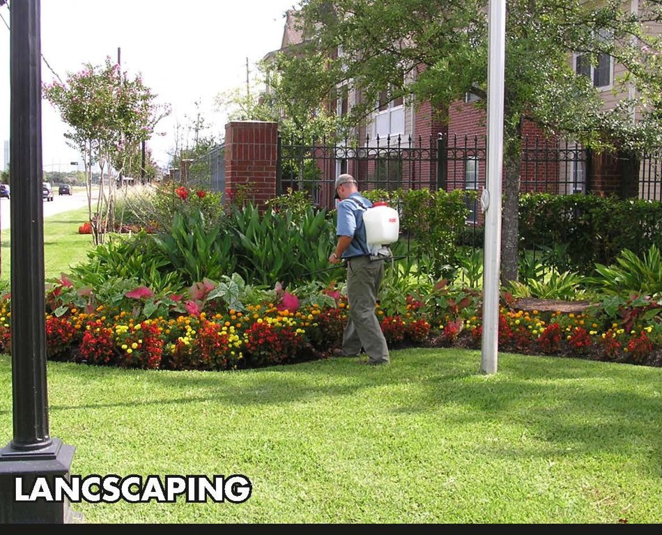  casa flora Landscaped Gardens