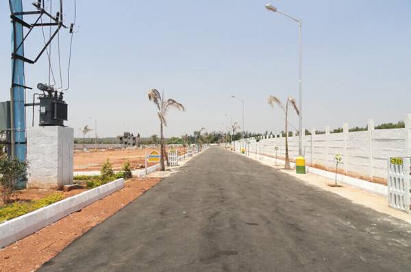  green-meadows Others