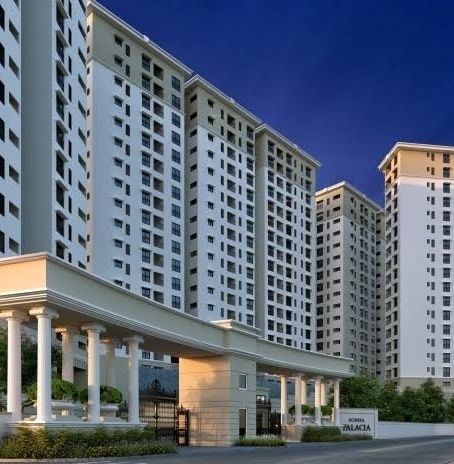  palacia Images for Project