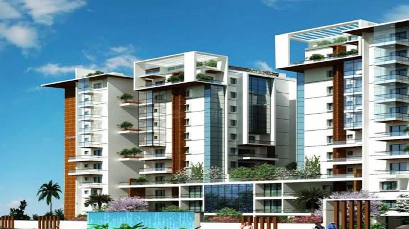  springleaf Elevation