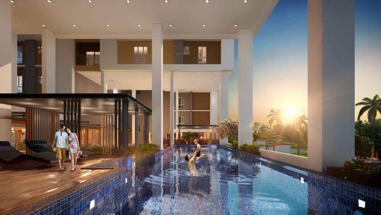  ambika icon Swimming Pool