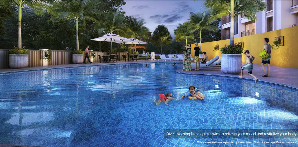  north barcelona Swimming Pool