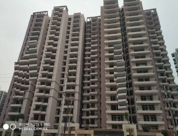 Images for Elevation of JKG Palm Court Phase I Images for Elevation of JKG Palm Court Phase I