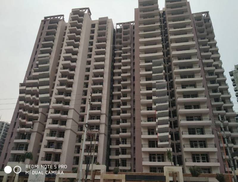 Images for Elevation of JKG Palm Court Phase I