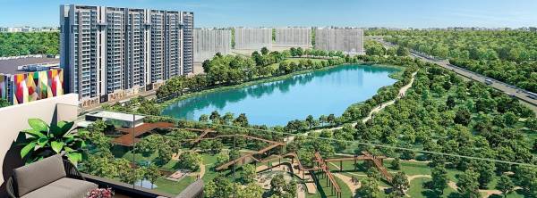  palava-serenity-a Others