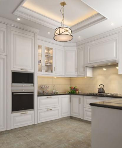 Kitchen royal-pavilion-phase-3-wing-16 Kitchen