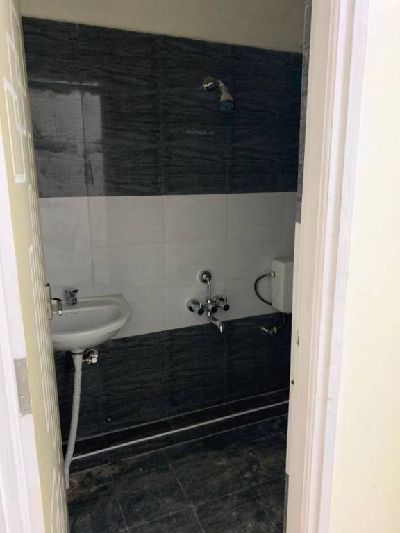 Images for mainOther