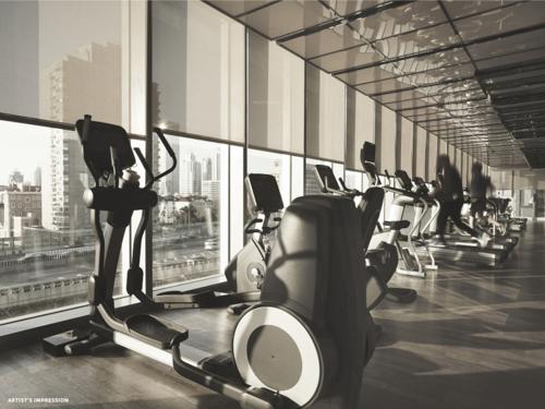  prime-vista Gymnasium