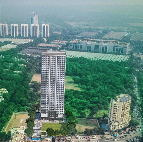  the-view Images for Project