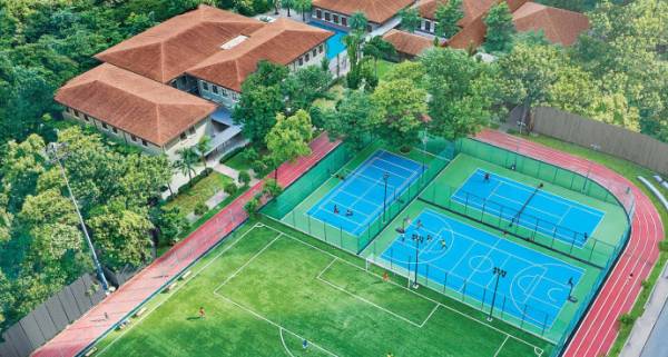  amara-wing-40-and-41 Others