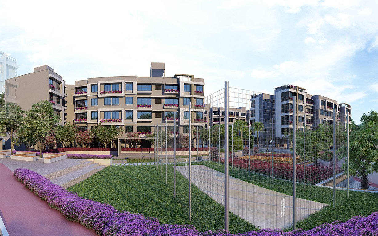  sapphire Cricket Pitch