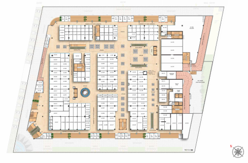  south x South X Cluster Plan
