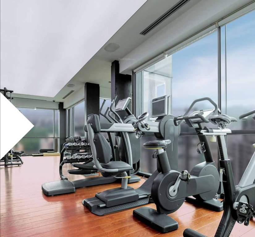  bliss apartments Gymnasium