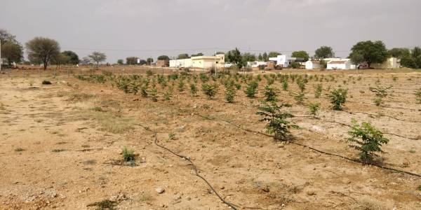 Images for Elevation of Siva Bharathi Lake View Gardens