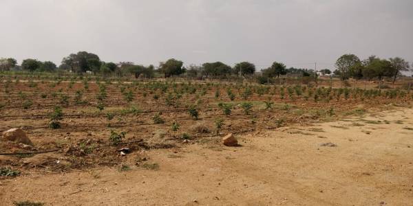 Images for Elevation of Siva Bharathi Lake View Gardens