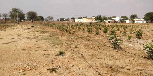 Images for Main Other of Siva Bharathi Lake View Gardens