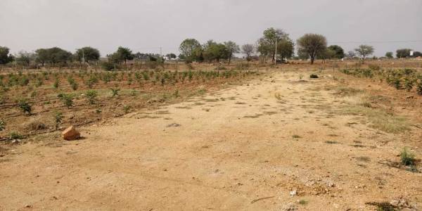 Images for Main Other of Siva Bharathi Lake View Gardens