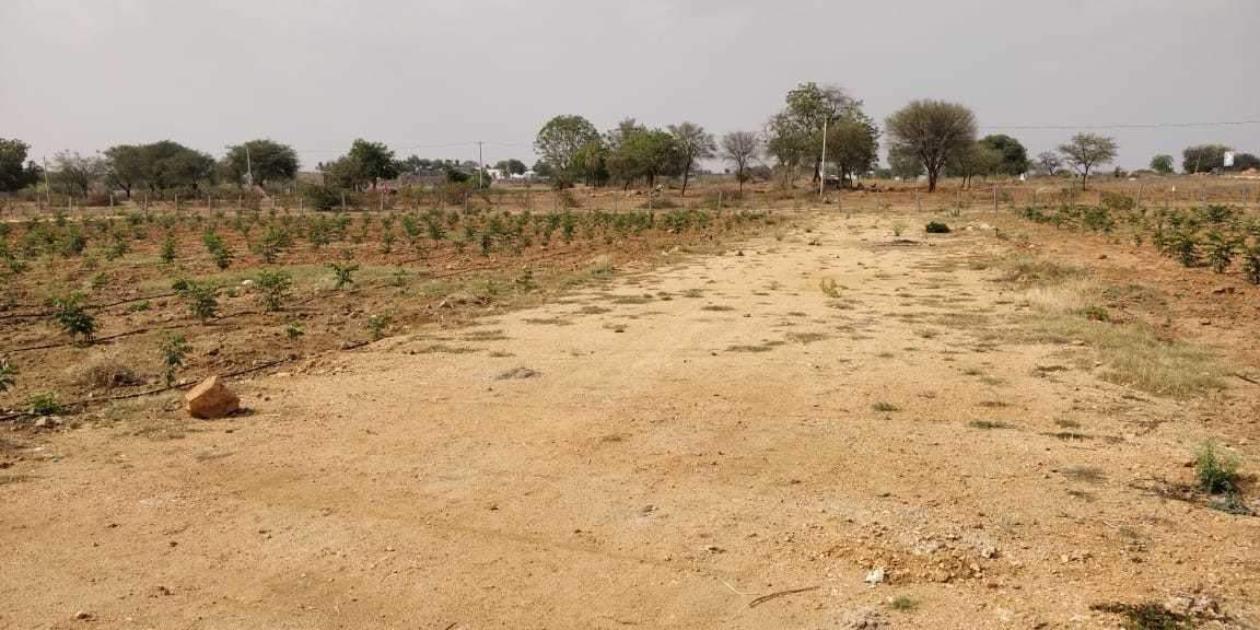 Images for Main Other of Siva Bharathi Lake View Gardens