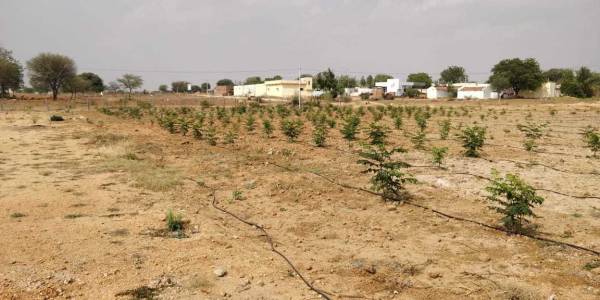 Images for Main Other of Siva Bharathi Lake View Gardens