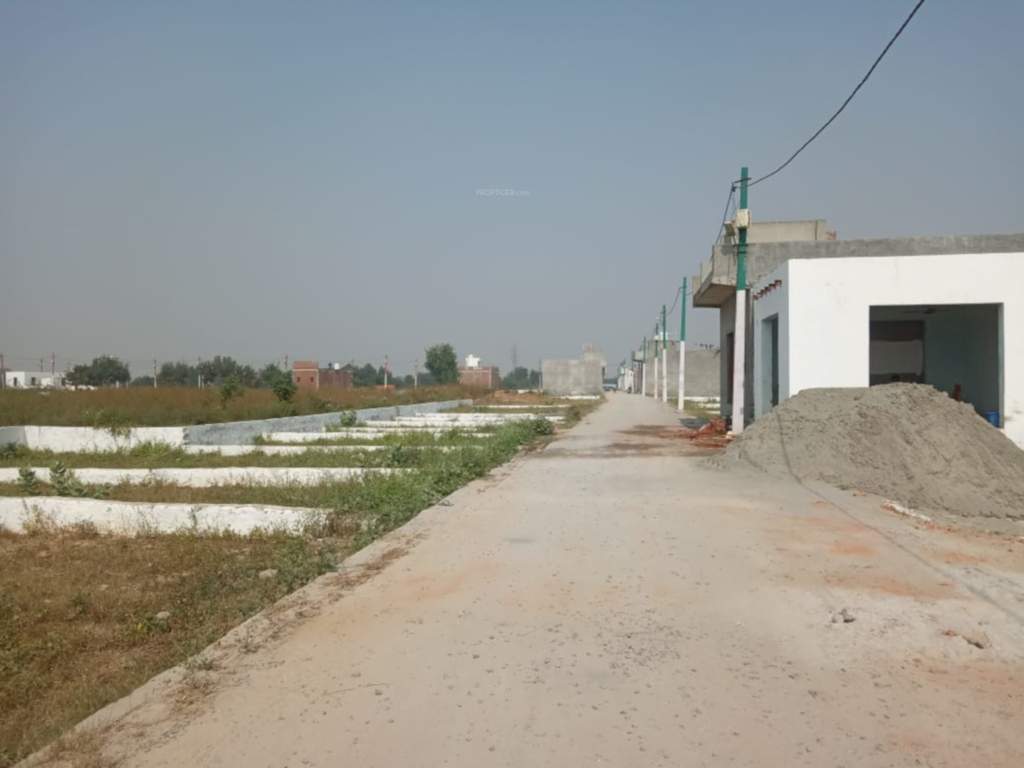 Images for Project