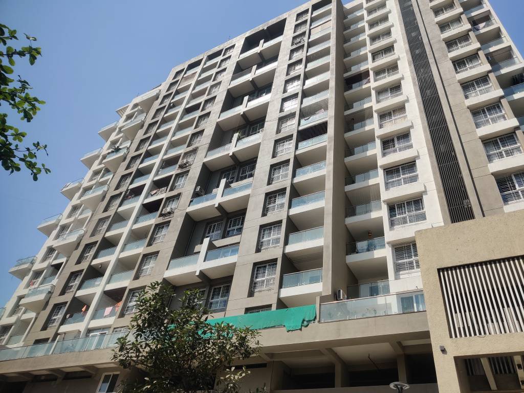  altius wing b Elevation