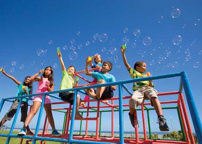  sector 5 wing c Others