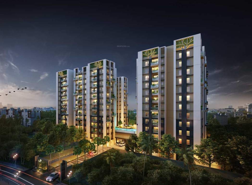 Images for Elevation of Eden The Forest