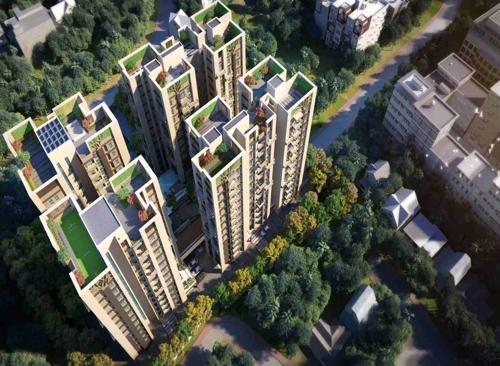  the-forest Images for Elevation of Eden The Forest