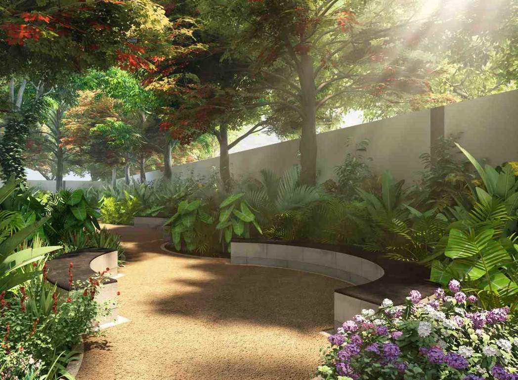 Images for Amenities of Eden The Forest