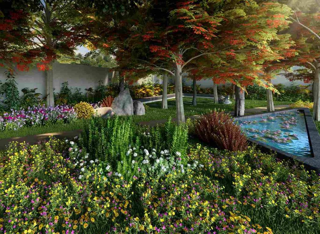 Images for Amenities of Eden The Forest