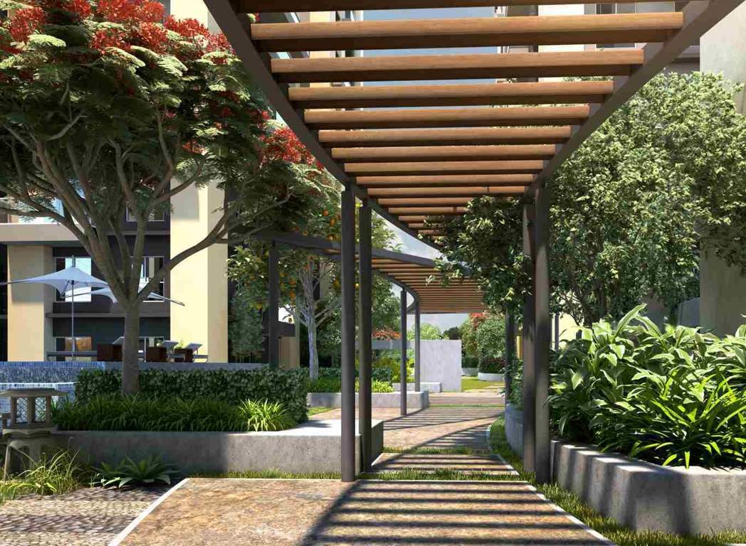 Images for Amenities of Eden The Forest