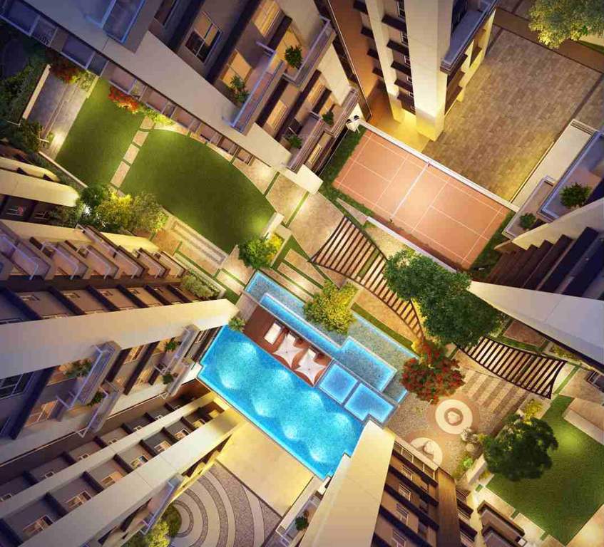 Images for Amenities of Eden The Forest