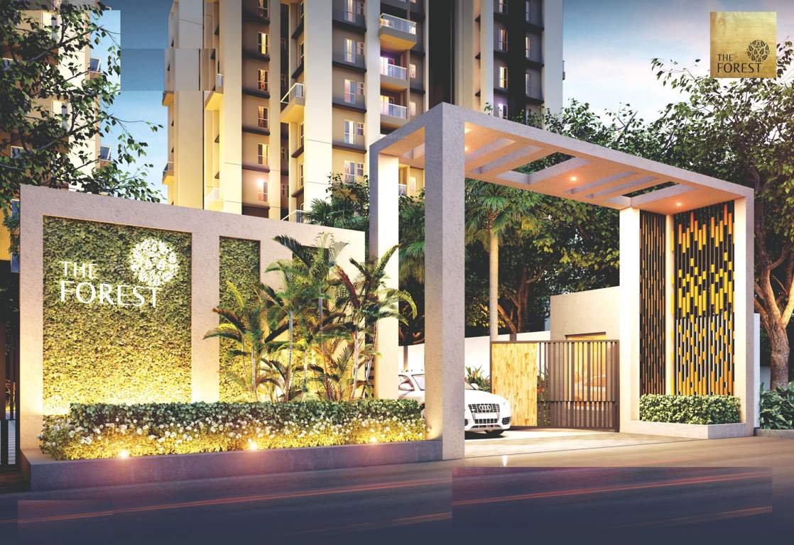 Images for Amenities of Eden The Forest