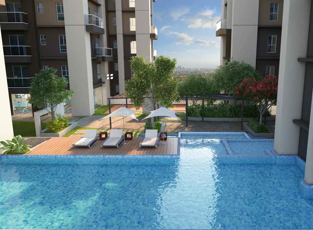 Images for Amenities of Eden The Forest