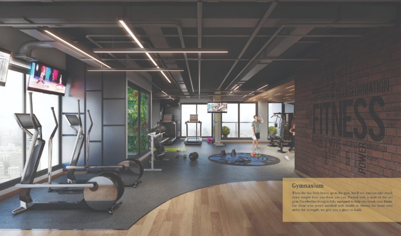  excellensea Gymnasium