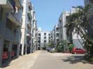 Vihar