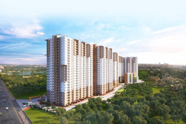  bollineni-bion Elevation