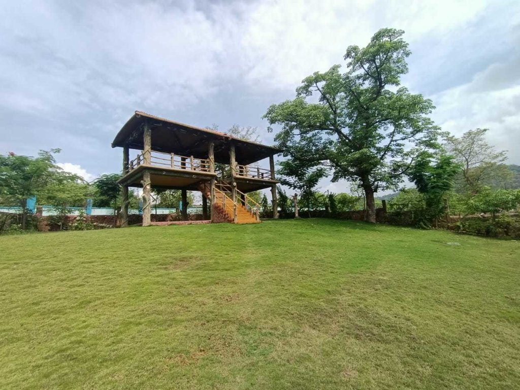  spring field Landscape Garden and Tree Planting