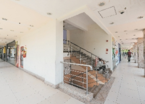 Others south-square Others