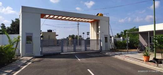 doctor-shubam-county Elevation Elevation