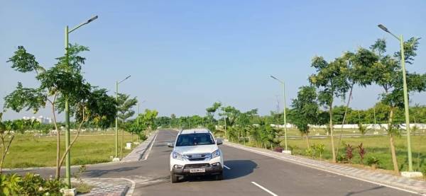  doctor-shubam-county Plot