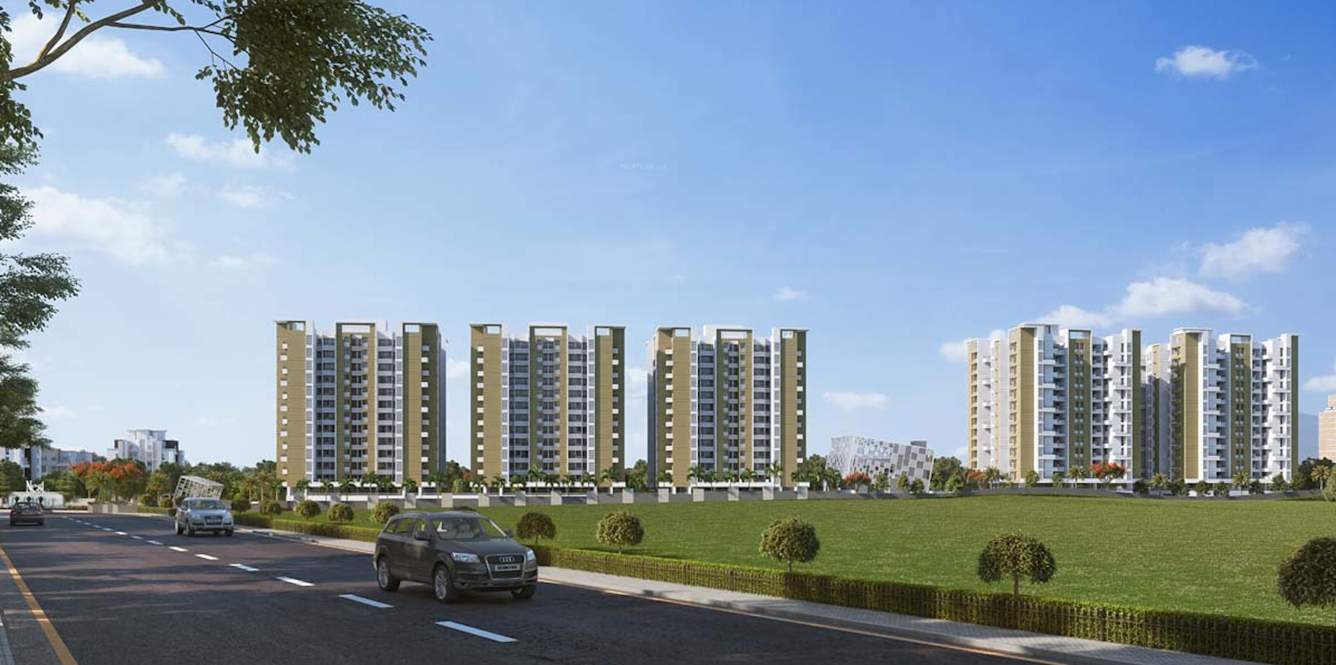  nest building c Elevation